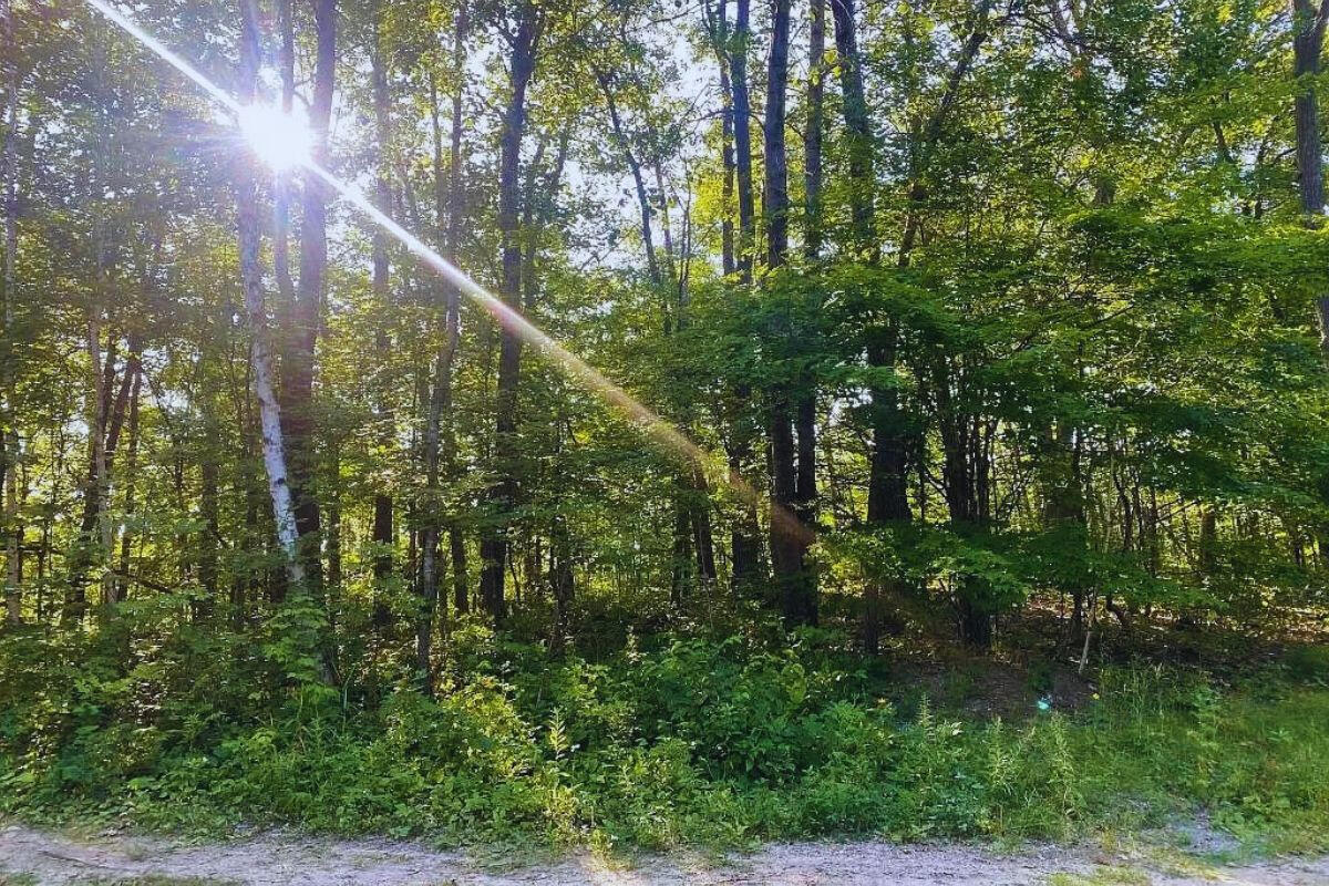 Near Private Lake - Flinstone Dr, Cushing, MN 56443