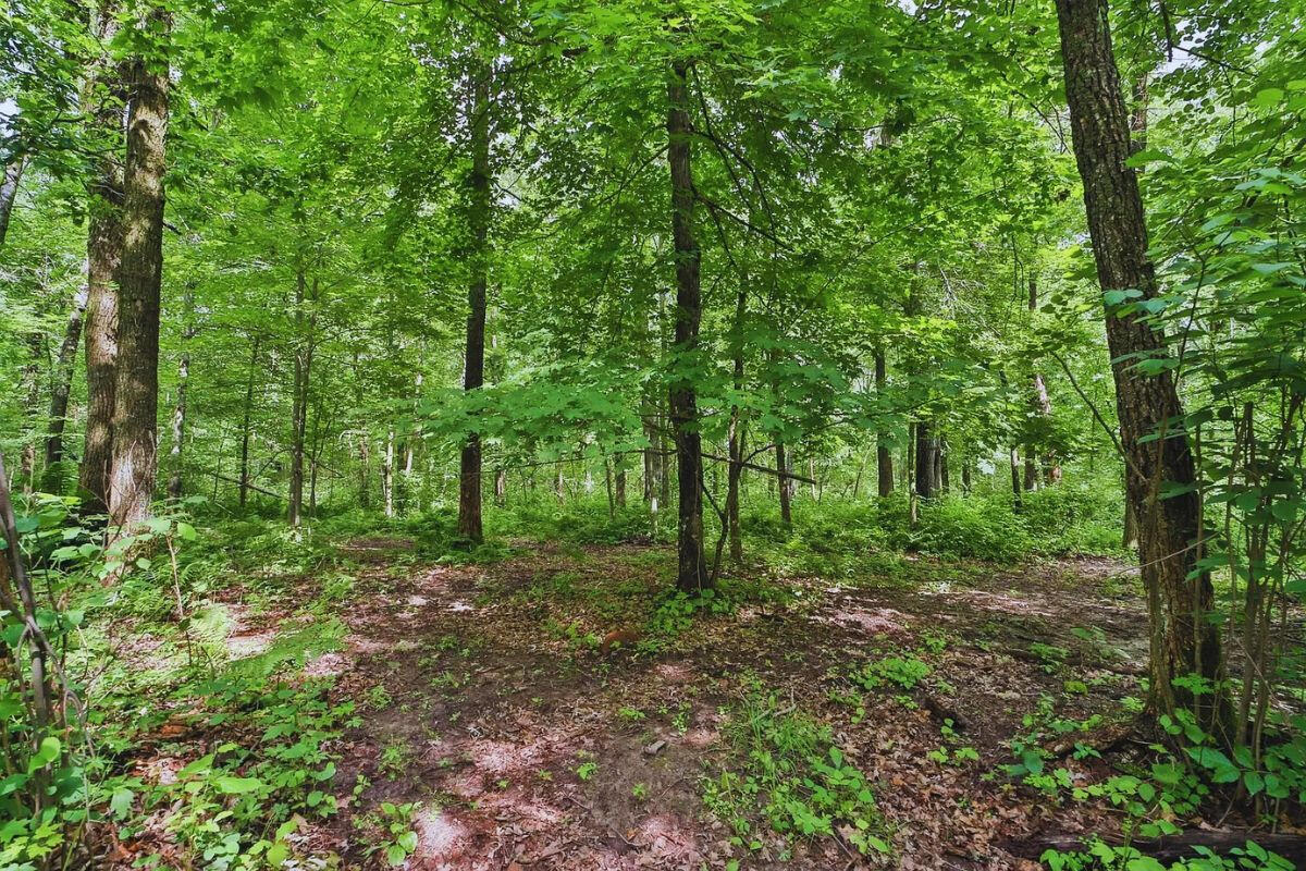 Near Private Lake - Flinstone Dr, Cushing, MN 56443